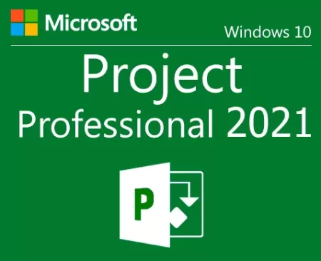 Project Professional 2021