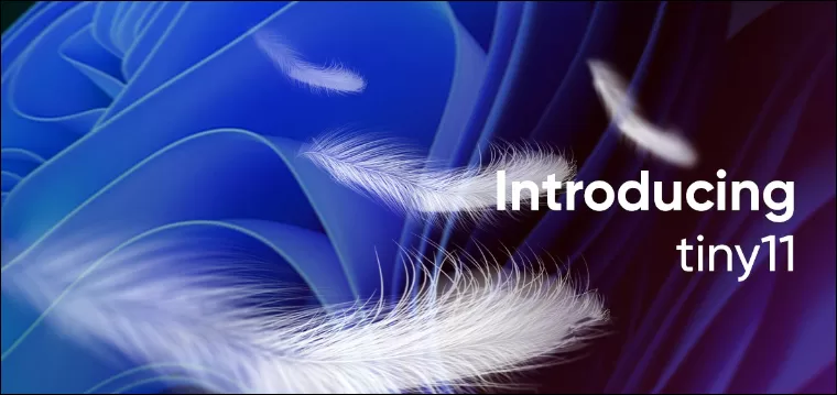 Windows 11