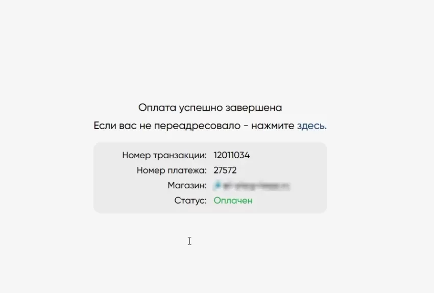 Платежный модуль WooCommerce - PayOk v1.1 MOD — изображение 5
