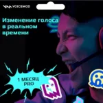 Купить ключ VOICEMOD PRO 1 месяц