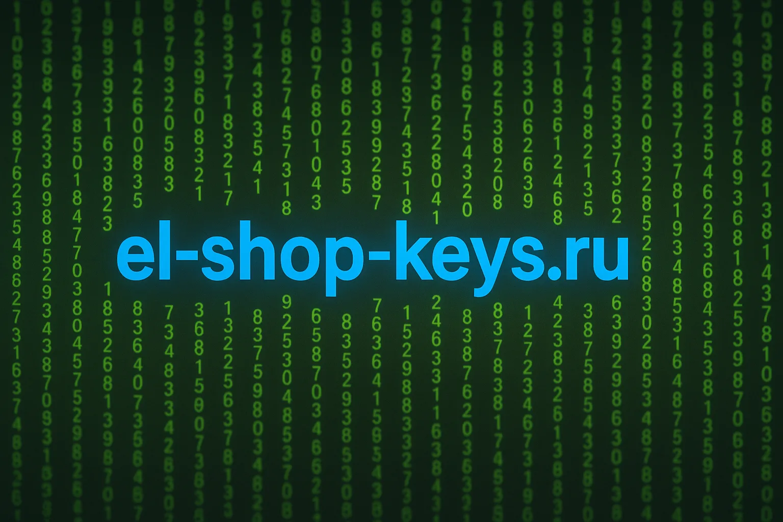 el-shop-keys.ru