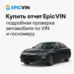 Купить отчет epicvin